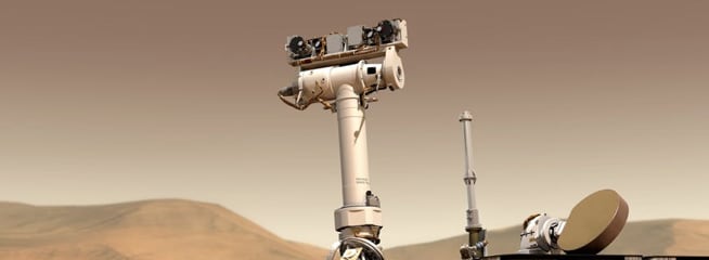 An image of curiosity